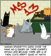 Madam Spaghetti and the rest of her gang are standing in the parking lot behind a building, with a few of the cats in a dumpster. On the wall is graffitied MS 13 in red spray paint. Caption: Madam Spaghetti's gang chose the name MS-13 based on their leader's initials and because there are 6 of them. (Cats aren't good at math)