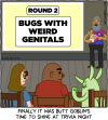 Finally it was Butt Goblin's time to shine at trivia night [Butt Goblin fist pumps like "yes!" as the Quizmaster reveals that the topic for round 2 is "bugs with weird genitals"]