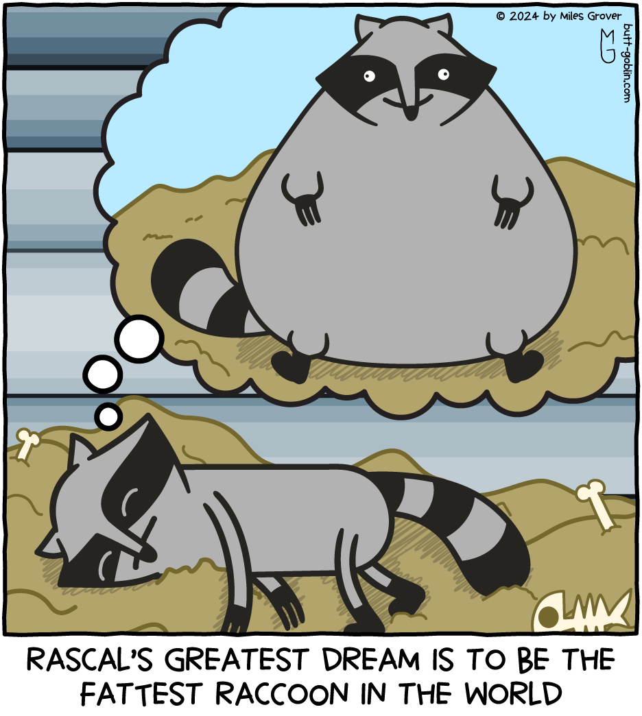 Rascal's greatest dream is to be the fattest raccoon in the world